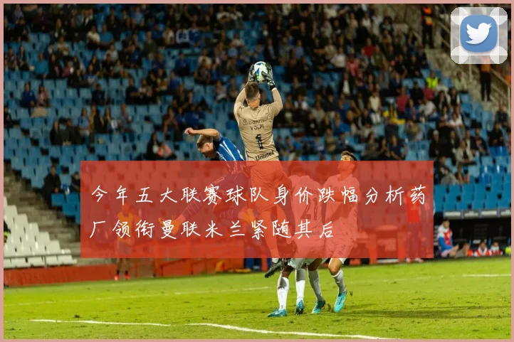 今年五大联赛球队身价跌幅分析药厂领衔曼联米兰紧随其后